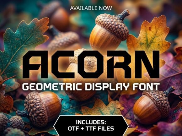 Acorn Font for Bold Design