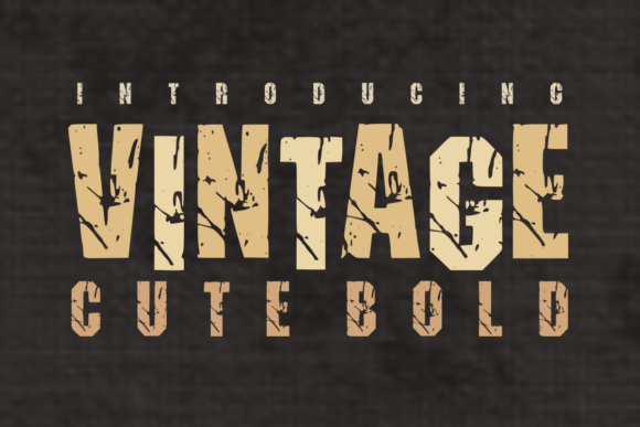 Vintage Cute Bold Font
